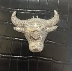 bulls ブルズ　シカゴブルズ　飾りに　破損してましが