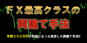 FX 最高クラスの両建て手法 リスクフリーのFXのトレード手法 スキャルピング デイトレード 必勝法 EAよりも手動の両建てがお勧めです