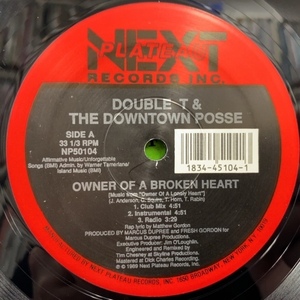 DOUBLE T & THE DOWNTOWN POSSE / OWNER OF A BROKEN HEART