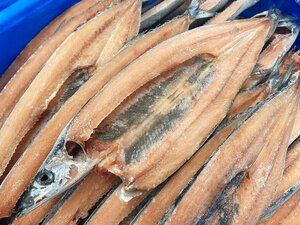 さんま開き 30尾 開きさんま さんま開 開さんま さんま サンマ 秋刀魚 焼魚 定食 おかず 業務用 IQF 【水産フーズ】