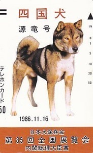 ●330-5900 四国犬 源竜号 日本犬保存会テレカ