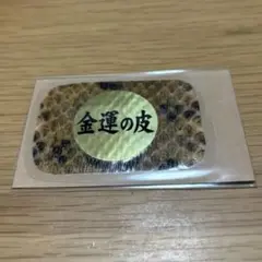 金運の蛇革　お守り　茶色