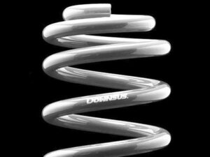 新品☆エスペリア　スーパーダウンサス【フロントのみ】　ルノー メガーヌ ルノースポール(DZF4R)　2011/2～　F4R　2000cc・ターボ・6MT