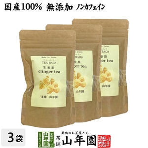健康茶 国産100% 生姜茶 ジンジャーティー 2g×12パック×3袋セット 熊本県産 送料無料