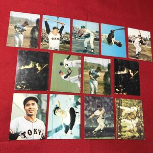 ☆希少！カルビー製菓 プロ野球カード 王貞治まとめ 連番あり 背面青色のみ 当時物 レトロ【ZOZ】