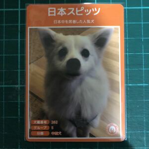 【犬種図鑑カード】 No.027 日本スピッツ