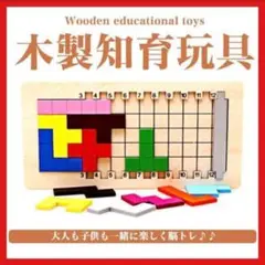 ペントミノパズル カタミノ 知育玩具 おもちゃ ボード モンテッソーリ 子供2