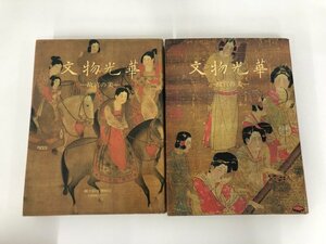 ▼　【図録2冊 文物光華 故宮の美 1・2巻 中華民国 国立故宮博博物院 1985年】112-02303