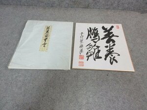 黄檗 書 色紙 [B23994] 縦27cm 横24cm 飾り 壁飾り 書道 書家