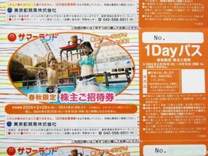 東京都競馬 株主優待 東京サマーランド 春秋限定株主招待券1枚 8枚可 送料63円～ 1Dayパス