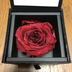 DIAMOND ROSE  GUARANTEE