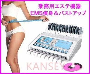 エステ業務用EMS痩身マシン ボディ痩身＆バストアップ育乳 新品 美容機器