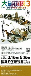 6/16迄 大哺乳類展3 特別展「大哺乳類展3－わけてつなげて大行進」無料観覧券(招待券) 2024/6/16迄有効 ネコポス216円発送可@SHIBUYA