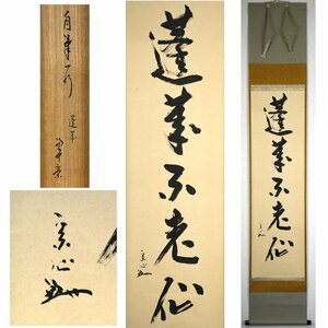 堀内宗心(兼中斎) 一行書『蓬莱不老仙』共箱 肉筆紙本 茶掛 墨書 掛軸【華芳】