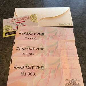 花とみどりのギフト券 3000円 12/31まで