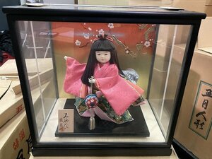 02-16-750♪G【引取or着払い】日本人形 ガラスケース みやび 盛光作 インテリア 置物　未使用品