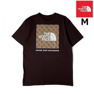 売切り【正規新品】THE NORTH FACE◆S/S BOX NSE TEE 半袖 Tシャツ US限定 ボックスロゴ グラフィック 男女兼用 キャンプ(M)茶 180902-15