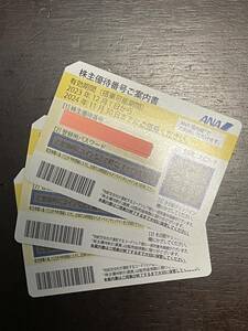 【送料無料】ANA株主優待券3枚 2024年11月30日まで