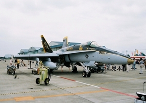 ★軍用機画像★ F-18 VFA-27とVFA-195 ３カット