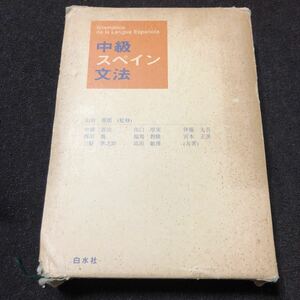 中級スペイン文法　初級者から利用できるもっとも詳しいスペイン語文法解説書　山田善郎　中岡省治　