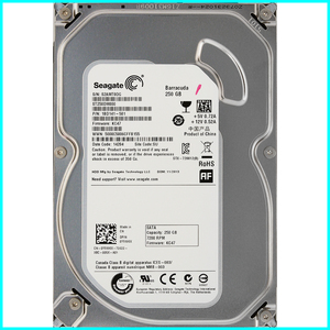 Seagate ST250DM000-1BD141-501 DP/N 0YVMKX 3.5インチ SATA600 250GB 571回 4440時間