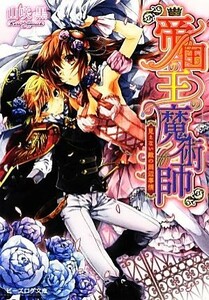 帝国の王の魔術師　見えない敵の周辺事情 ビーズログ文庫／山咲黒【著】