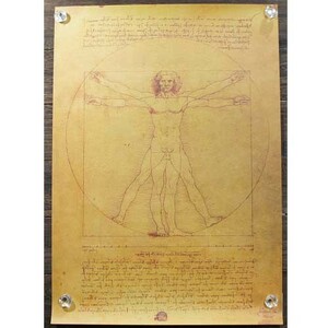 新品★インテリア雑貨★【ポスター】Vitruvian Man／ウィトルウィウス的人体図　ダ・ヴィンチ