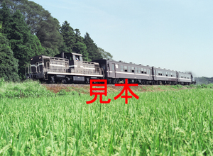 鉄道写真、645ネガデータ、140575130001、DD13-55＋50系＋C12-66、真岡鐵道、真岡～寺内、2004.08.19、（4424×3240）