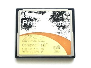【現品限り】☆並品☆ CFカード 256GB 1066x レキサー プロフェッショナル Lexar Professional コンパクトフラッシュ CompactFlash Card