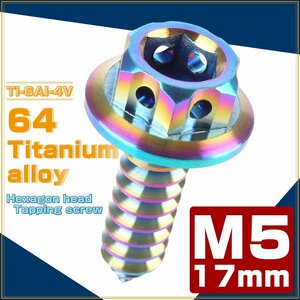 64チタン製 M5×17mm タッピングネジ フランジ付 六角頭 ヘキサゴンヘッド ビス 焼きチタン ライトカラー JA604