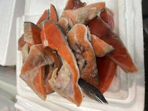 鮭 カマ 切身 切り落とし 甘塩 約500g チリ産 紅鮭 塩焼 冷凍