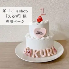 ᙏ⑅Ｌ’s shop〖えるず〗様専用ページ　クレイケーキ　フェイクスイーツ