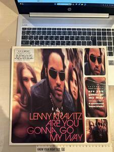 LENNY KRAVITZ ARE YOU GONNA GO MY WAY LP レコード レニークラヴィッツ USA IMPORT盤 藤原ヒロシ HF