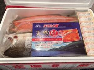 ■【天然紅鮭フィーレ　8kg　中辛　6-8枚】紅サケ　中辛口　塩焼きに！☆★☆★