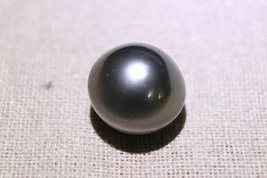 南洋黒蝶パール１４．２×１２．８ｍｍ★片穴