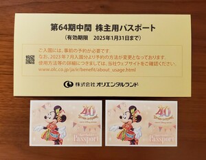 未使用 東京ディズニーリゾート 株主用 パスポート 2枚組 ★★ ディズニーランド ディズニーシー 株主優待