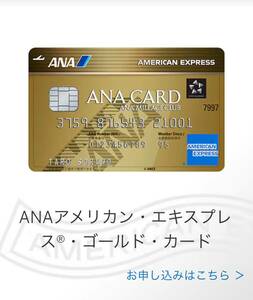 【正規紹介】ANAアメリカンエキスプレスゴールドカード 特典 110,000マイル アメックス AMEX 