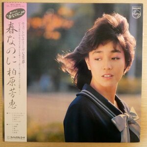 LP3881☆帯付「柏原芳恵 / 春なのに / 28PL-50」