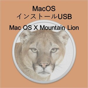 (v10.08) OS X Mountain Lion インストール用USB [2]