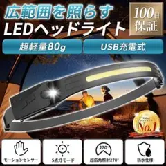 ★充電式★ 350LM 防水 超軽量 センサー搭載 2種LED ヘッドライト