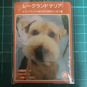 【犬種図鑑カード】 No.094 レークランドテリア