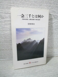 ●[レグルス文庫] 一念三千とは何か―『摩訶止観』(正修止観章) 菅野博史