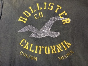 古着 希少 ヴィンテージ　HOLISTER CALIFORNIA size L ホリスター リバーシブル 