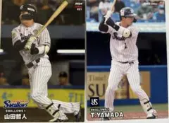 プロ野球ヤクルトスワローズ山田哲人選手カード