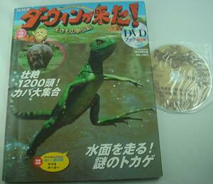 送料無料★DVDブック NHK ダーウィンが来た! 生きもの新伝説 No.2 壮絶1200頭！カバ 大集合 水面を走る！謎のトカゲ