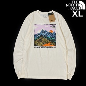 1円～!売切!【正規新品】THE NORTH FACE◆L/S GRAPHIC INJECTION TEE 長袖 Tシャツ ロンT US限定 グラフィック 上質(XL)白 180902-5