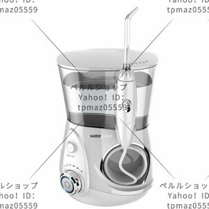 口腔洗浄器 ウォーターピック USB充電式 1000ml大容量 歯周ポケット 12段階水圧調節可能 家庭用 ジェットウォッシャー