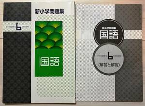 ●塾用教材【新小学問題集 国語 6年】②