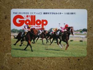 I710・Gallop　サクラセカイオー　競馬　抽プレ　テレカ