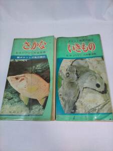 必見★1969年発行 いきもの 学研 ポケット観察図鑑 川村智次郎 昭和 レトロとおまけで　さかな★必見